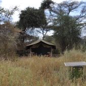  Lemala Manyara